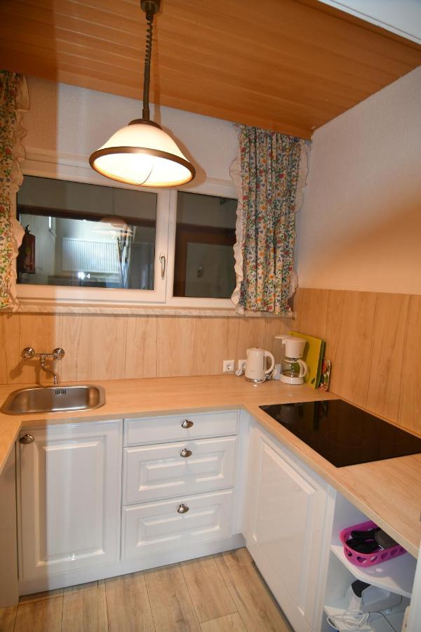 Mountain View Apartment Bad Mitterndorf Exterior photo